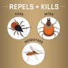 image:imageRepel Permethrin Clothing and Gear Insect Repellent 65 Ounces Aerosol Insect Repellent for Clothing and Gear Including Nets Tents Sleeping Bags and Backpacks 3 Pack